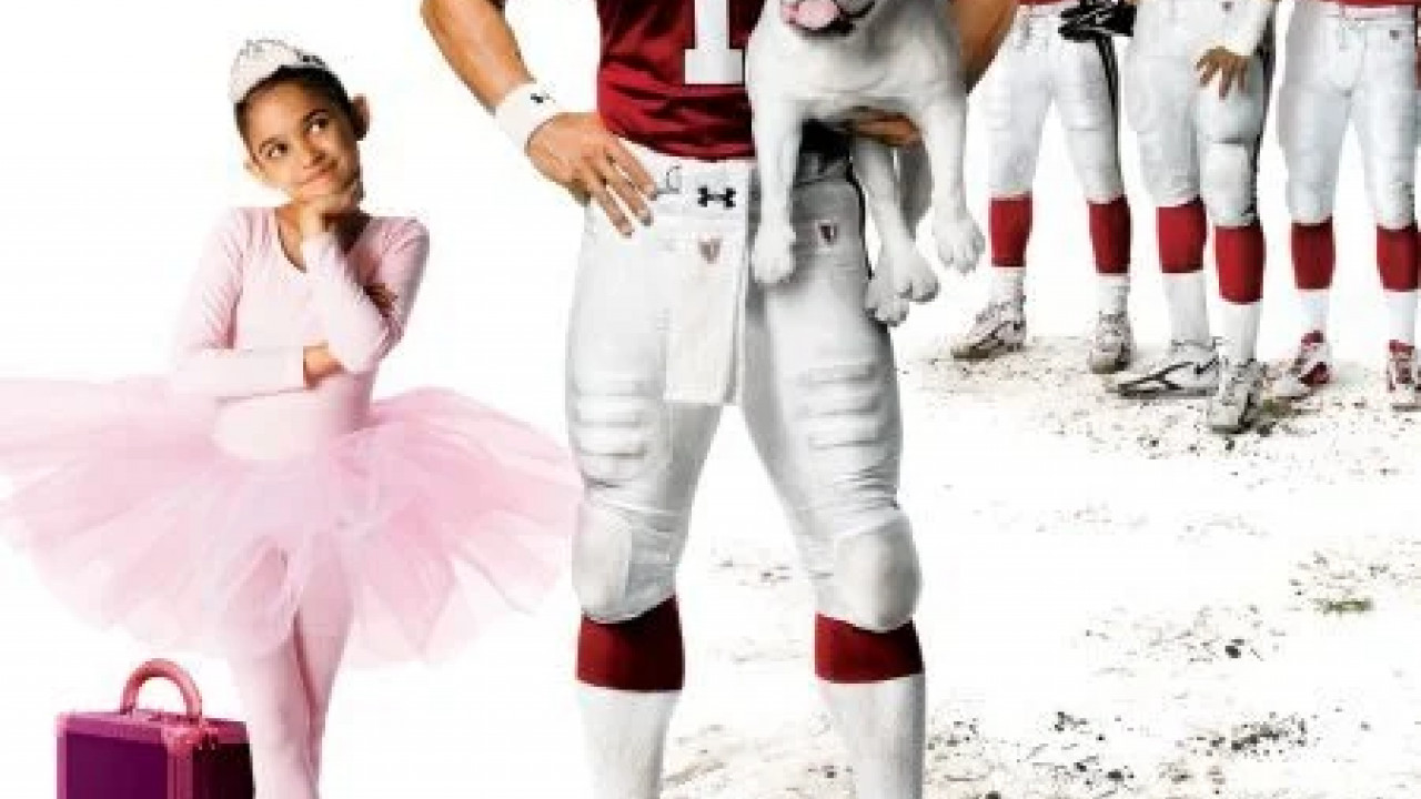 The Game Plan ( 2007 )