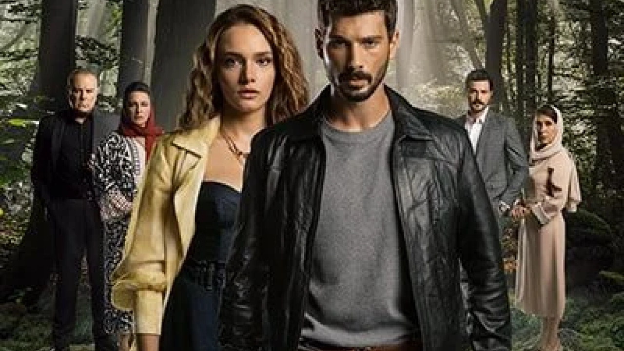 حب بلا حدود