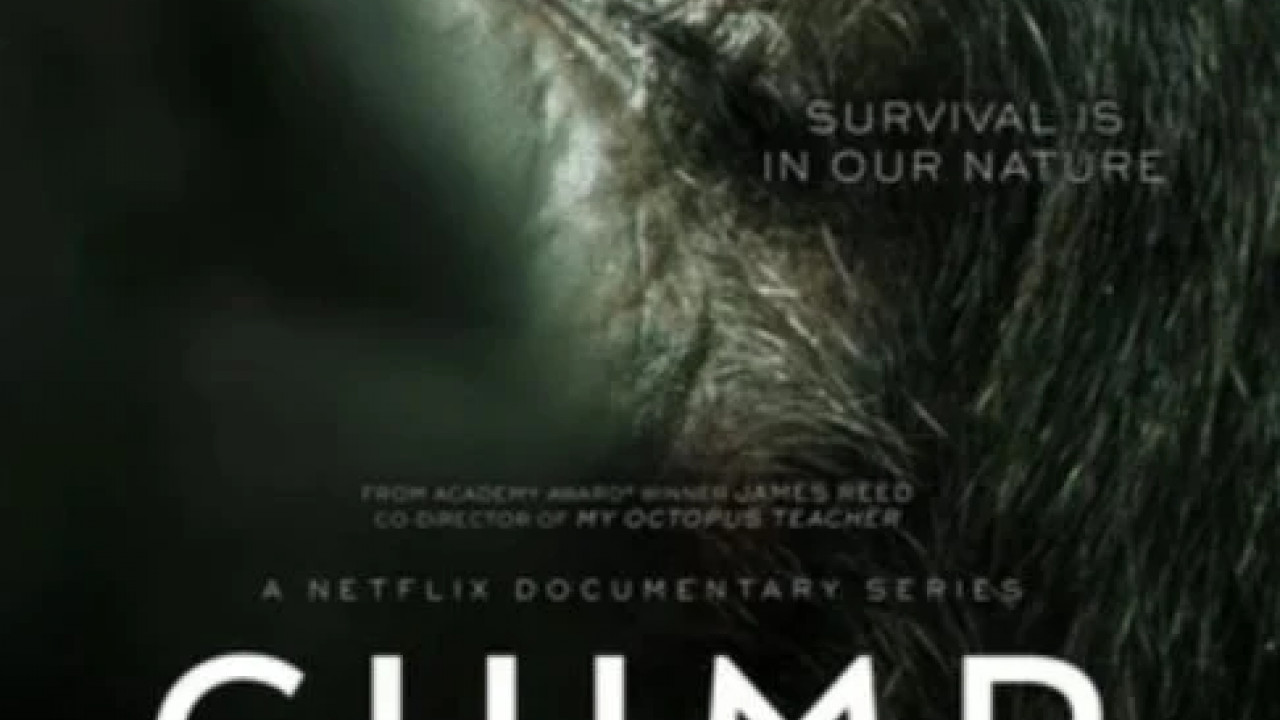 Chimp Empire الموسم الاول الحلقة 3